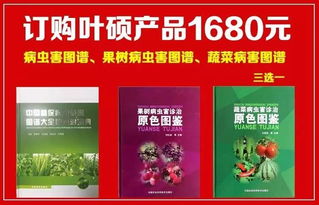 致谢与共建 云根商贸的绿色发展之路
