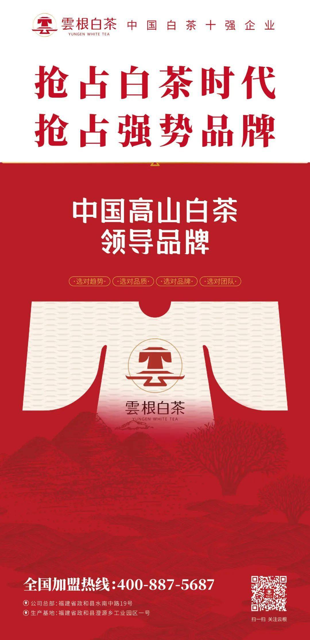 云根白茶莆田3店牛头齐发,政和白茶耕耘莆仙大地